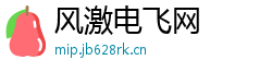 风激电飞网 风激电飞网